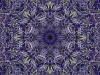 Center of the Yucca