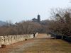 nanjing_1311a