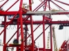 Cranes, Container Port, Shanghai, China