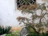 Humble Administrator's Garden, Suzhou, China
