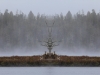 Beaver Lodge