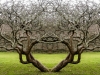 CoombeOrchardCelticEnt