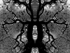 EntProfile