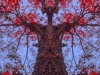 Maple Priestess