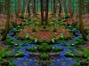 Island in the Stream