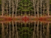 Pisgah Cove