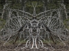 Roots Sentinel
