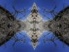 ShamanicPool