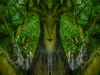Welcoming Ent