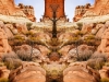 Zuni Garden