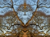 Shugborough Ent3