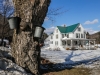 parulis_sugaring-season-robb-family-farm-west-brattleboro