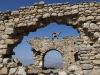 Goat in ruins atop Apano Katro, Naxos