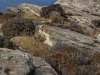 Paros_2163 Lighthouse