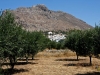 tilos_0196a