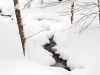 SnowfallStream