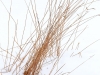 bcbsfeb14_124c