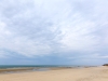 capecodmar14_0865b
