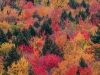 autumn-foliage-vermont