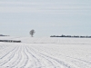 cambridgeshire-in-winter