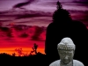 joshua-tree-buddha