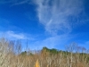 pond-reflection-woodstock