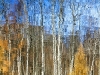 reflection-woodstock-vt