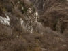 buddhawall_0136b