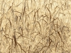 HaystackGrasses