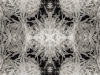 IceWoDuSSel