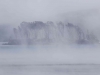 Fog, Tomales Bay