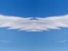 wings3